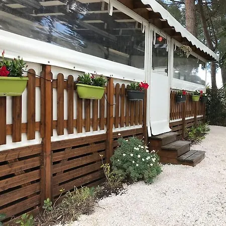 Campsite Mobilhome 6 Personnes En Bord De